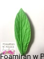 0b84bf2df85c5d4cbf7eae691959bcda