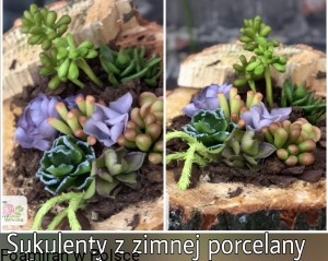 Online kurs SUKULENTY z zimnej porcelany . Dostęp do kursu 