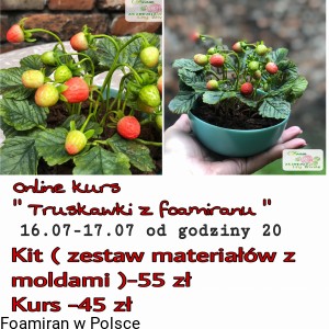 Online kurs „ Truskawki z zimnej porcelany „. Dostęp do kursu 