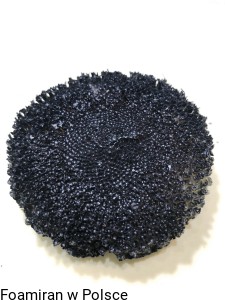 Środek słonecznika . 7.5 cm . Nowość .