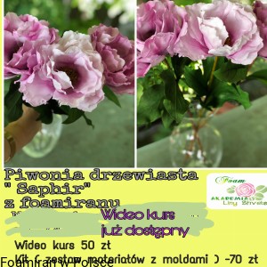 Wideo Kurs "Piwonia Drzewiasta Saphir"