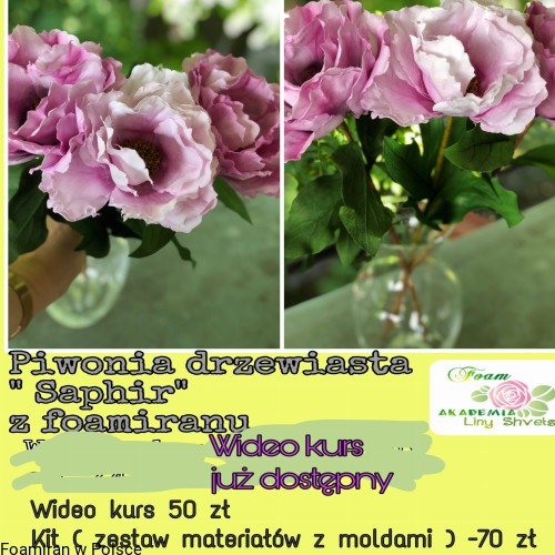 ff8ac525843fd2a42c56cf05d58fb002