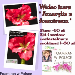 Wideo kurs „ Amarylis « kurs umieszczony w grupie na Facebook 