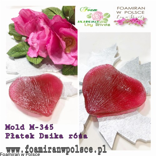 6840fc8f06ccdece086559a380ac9c00