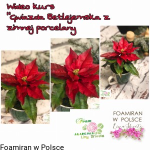 Wideo kurs „ Gwiazda betlejemska z zimnej porcelany „
