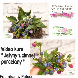 Wideo kurs „ Jeżyny z zimnej porcelany”