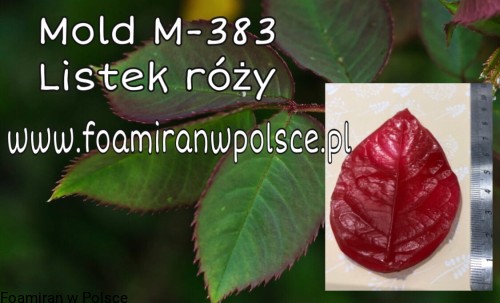 d2a9058e317dde6355fd34484de930b7