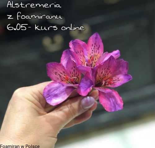 797b7aeaa29a57b5074ad0638f5ff9cf