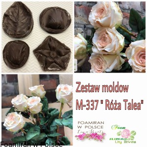 Zestaw Molow M-337 Róża TALEA