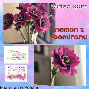 Wideo kurs „ Anemon z foamiranu „ Dostęp do kursu 