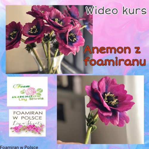 31ac306310cbbc72f111615ca9667c4a