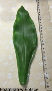Zestaw moldow do zrobienia Tulipana m-75