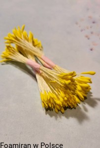 Pręciki do zrobienia kwiatów. Kolor żółty,  biała nitka  (1-2 mm)