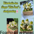 FC002353-1C67-4327-9726-B7C93D6B8220.jpg
