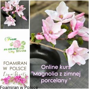 Kit (zestaw materialow) Do kursu "Magnolia " z zimnej porcelany