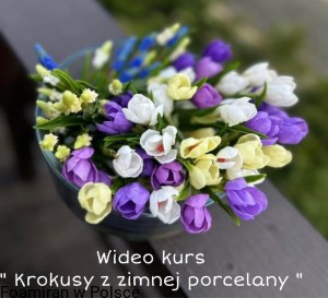 Dostep do wideo kursu Krokusy z zimnej porcelany