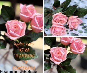 Wideo kurs Roza "Flamingo " z foamiranu