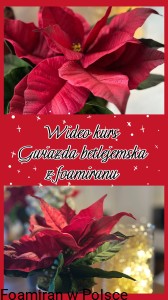 Wideo kurs Gwiazda betlejemska z foamiranu