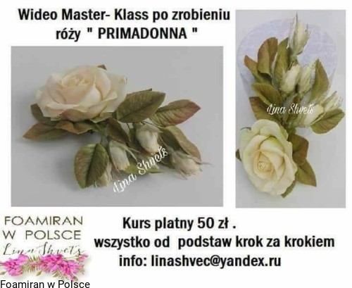 3bac72c5d603794ecff6d78f6b90730e