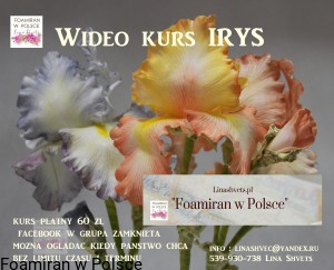 Wideo Kurs " IRYS"