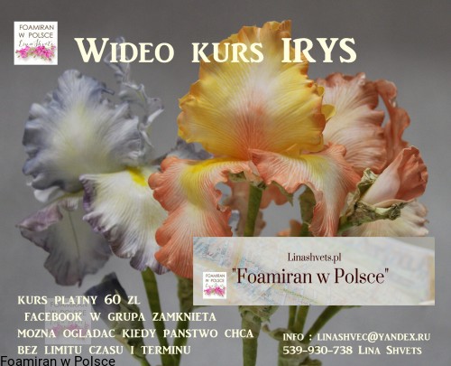 irysy plakat.JPG