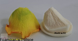 Mold m-241