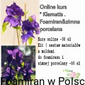 911adce1c51eff1e231346a473e26069