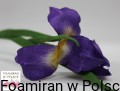 IMG_6014.JPG